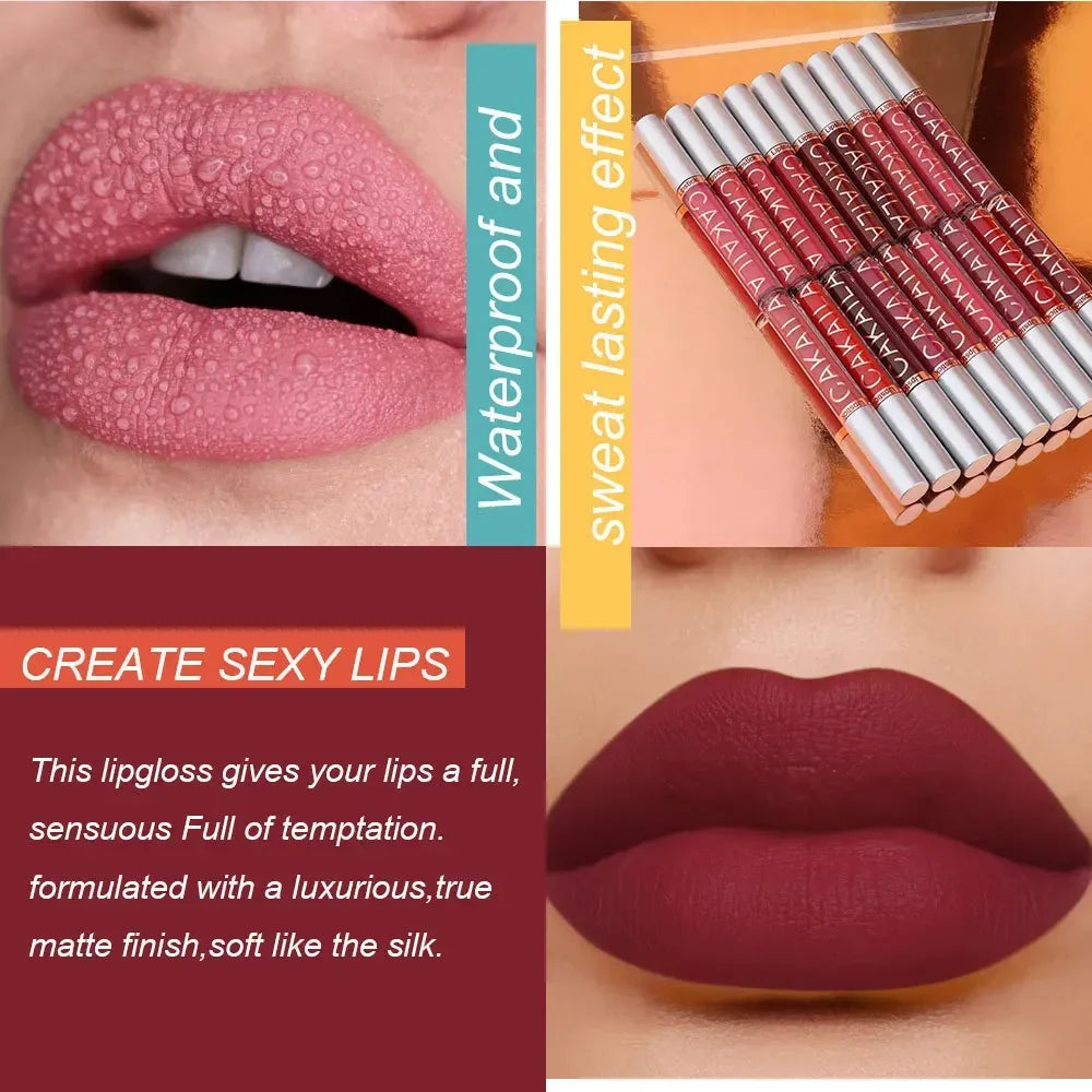 Long lasting Lipstick Set for women